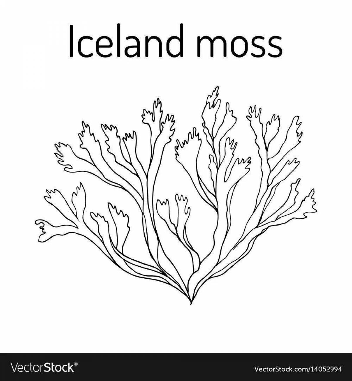 Gorgeous moss coloring book for kids
