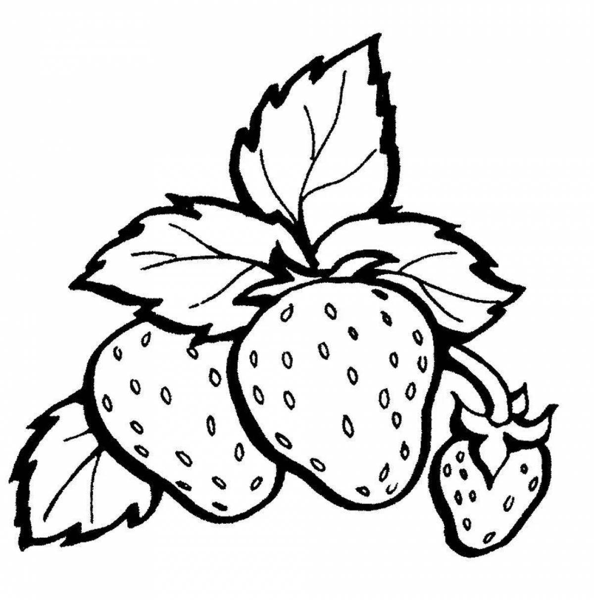 Delightful strawberry coloring book for kids
