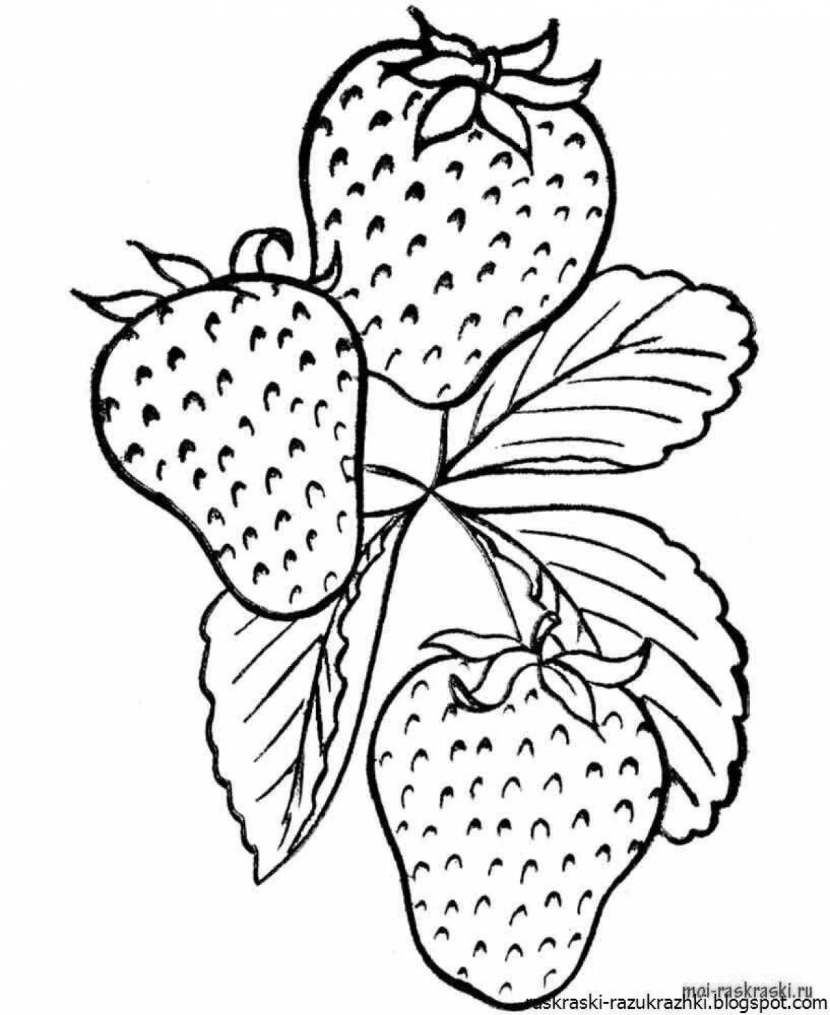 Colourful strawberry coloring book for kids