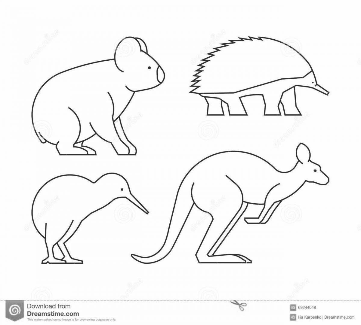 Животные австралии картинки распечатать