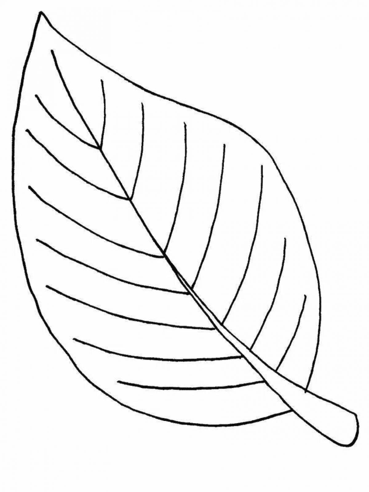 Coloring for bright leaves for children