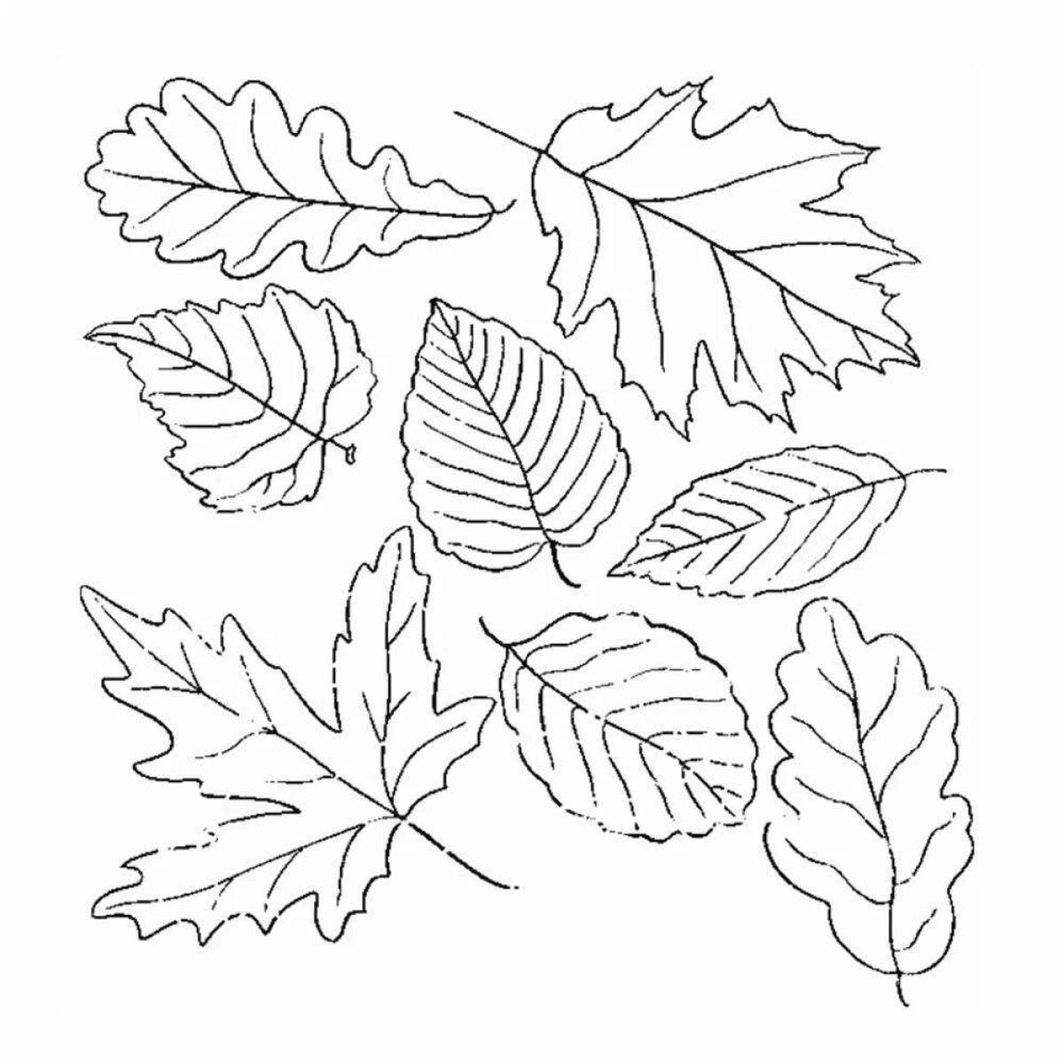 Радостные листья раскраски для детей