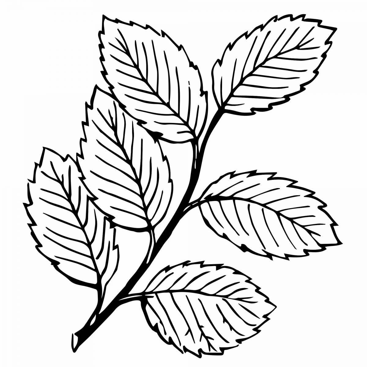 Coloring pages with playful leaves for kids