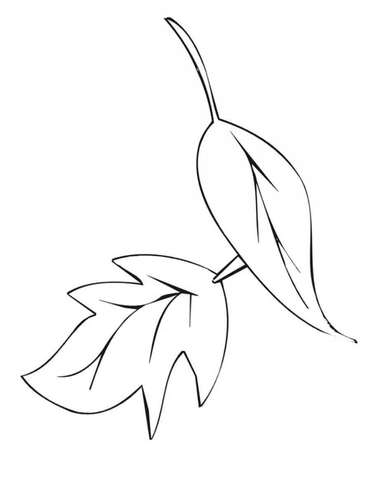 Attractive leaf coloring page for kids