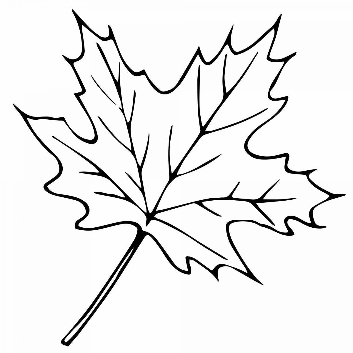 Radiant leaves coloring pages for kids