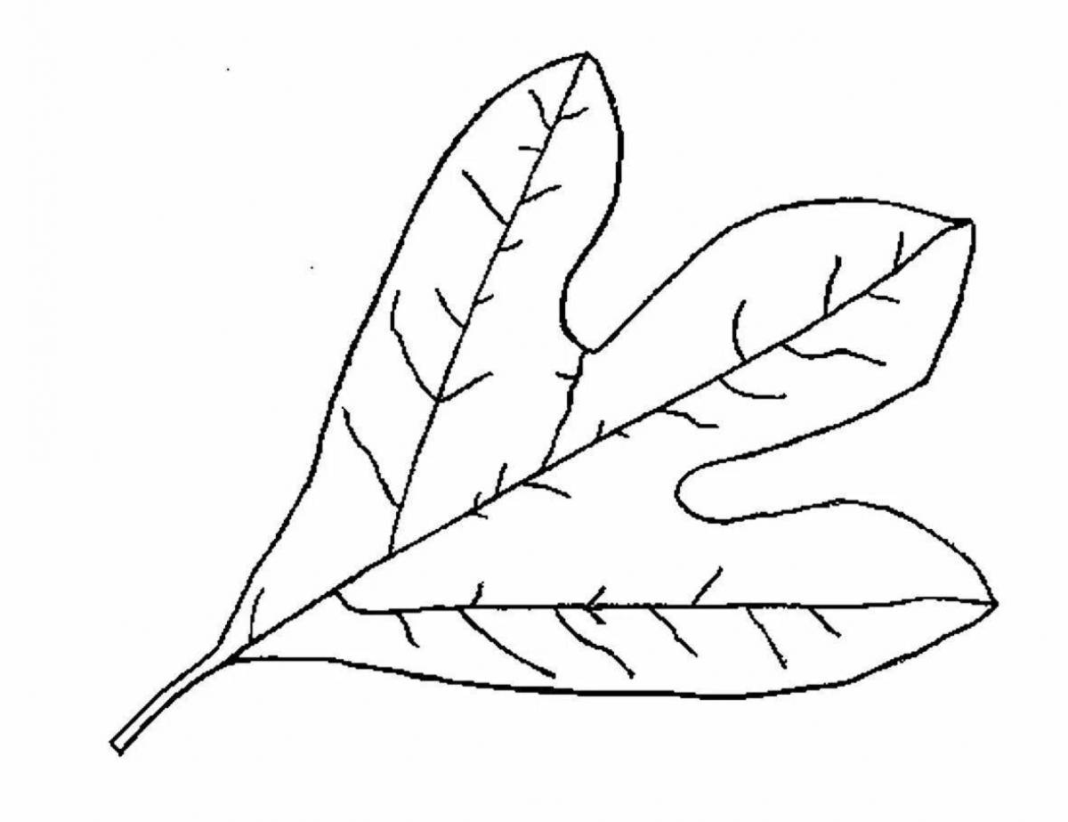 Раскраска глянцевые листья для детей