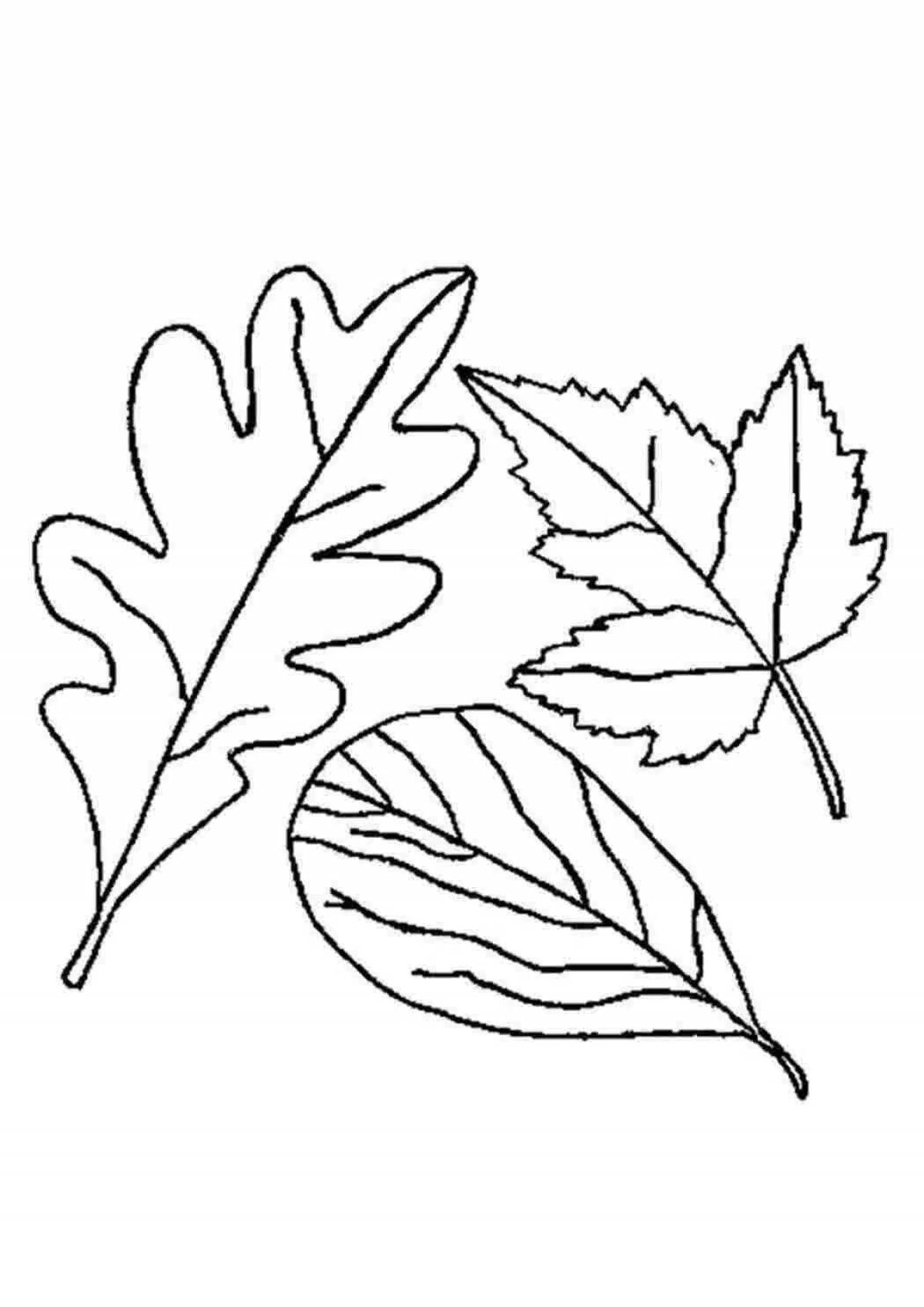 Жирные листья раскраски для детей