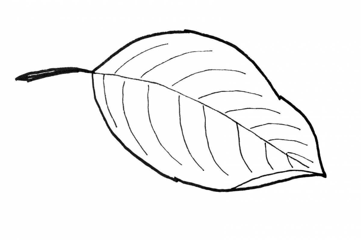 Gorgeous leaves coloring book for kids