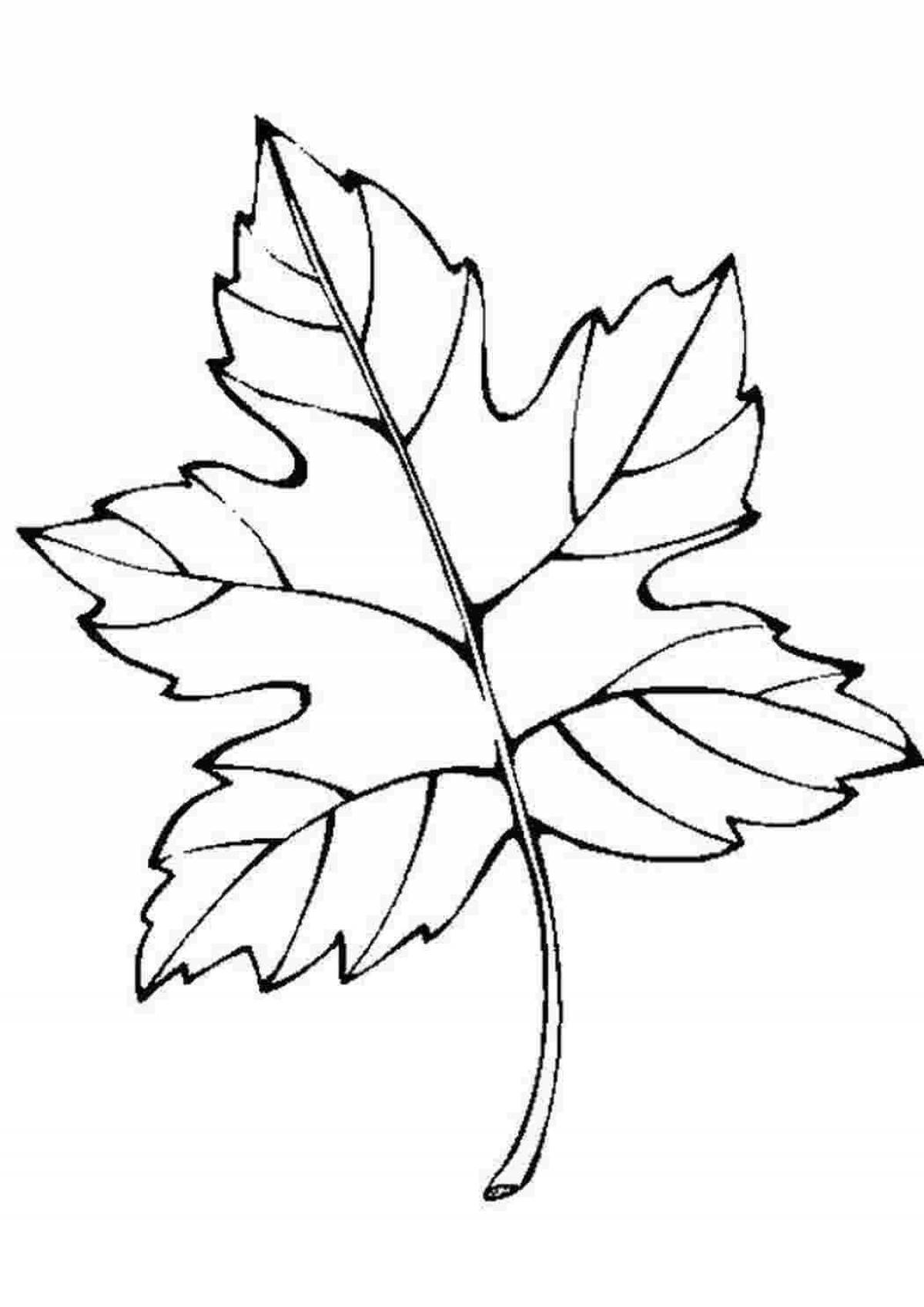 Cute leaves coloring book for kids