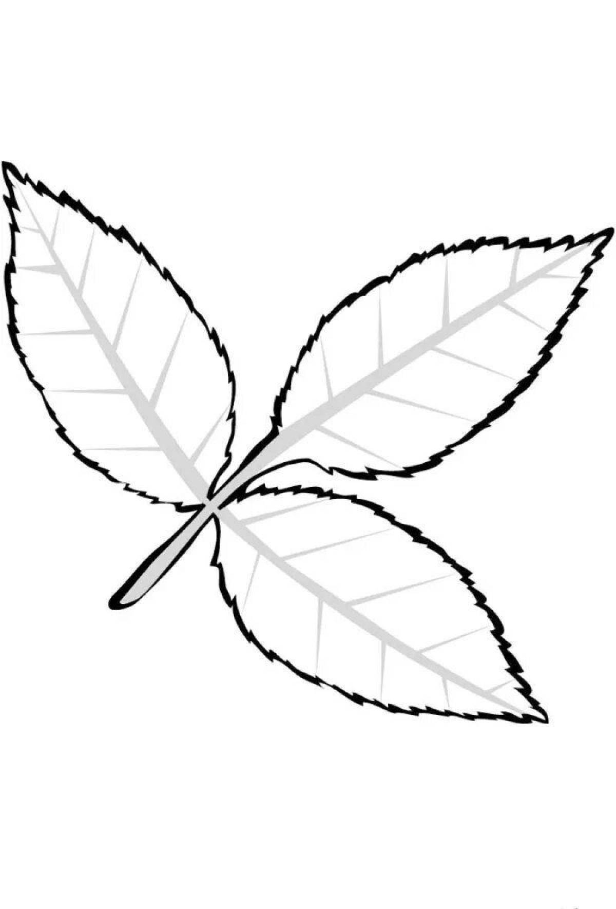 Fancy leaves coloring book for kids