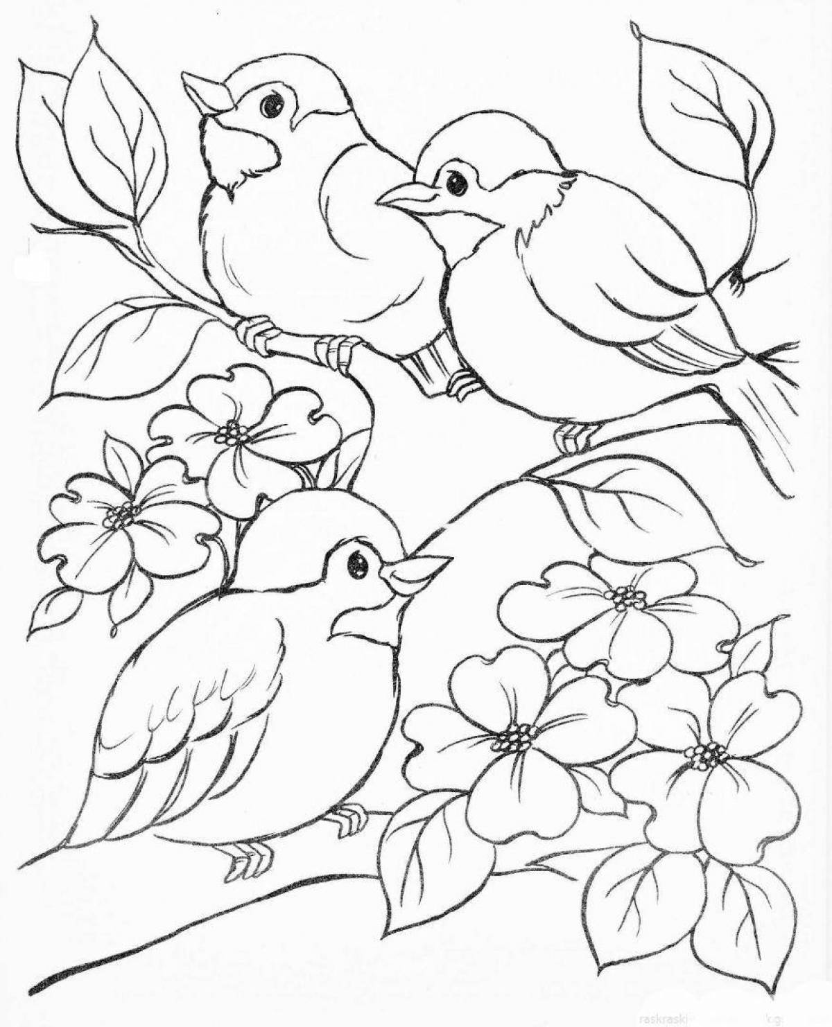 Great bird coloring page for grade 1