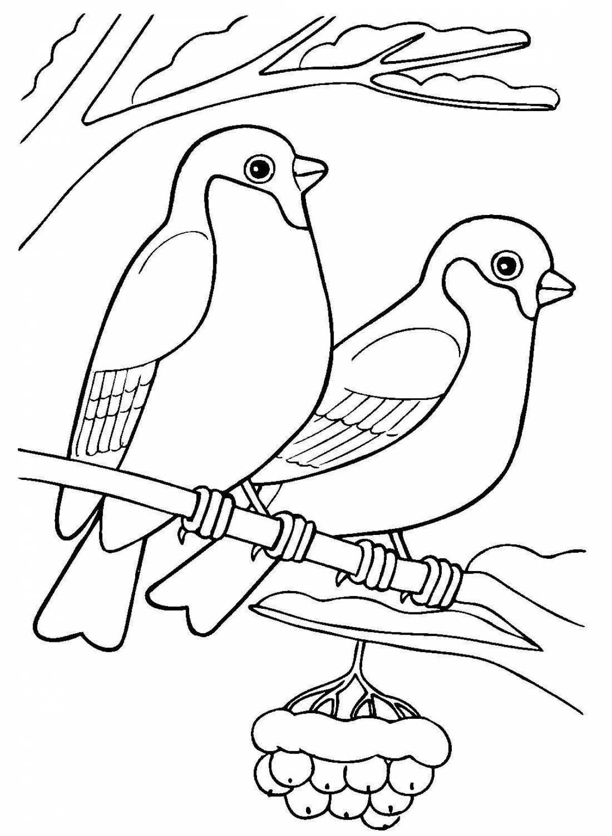 Great 1st grade birds coloring page