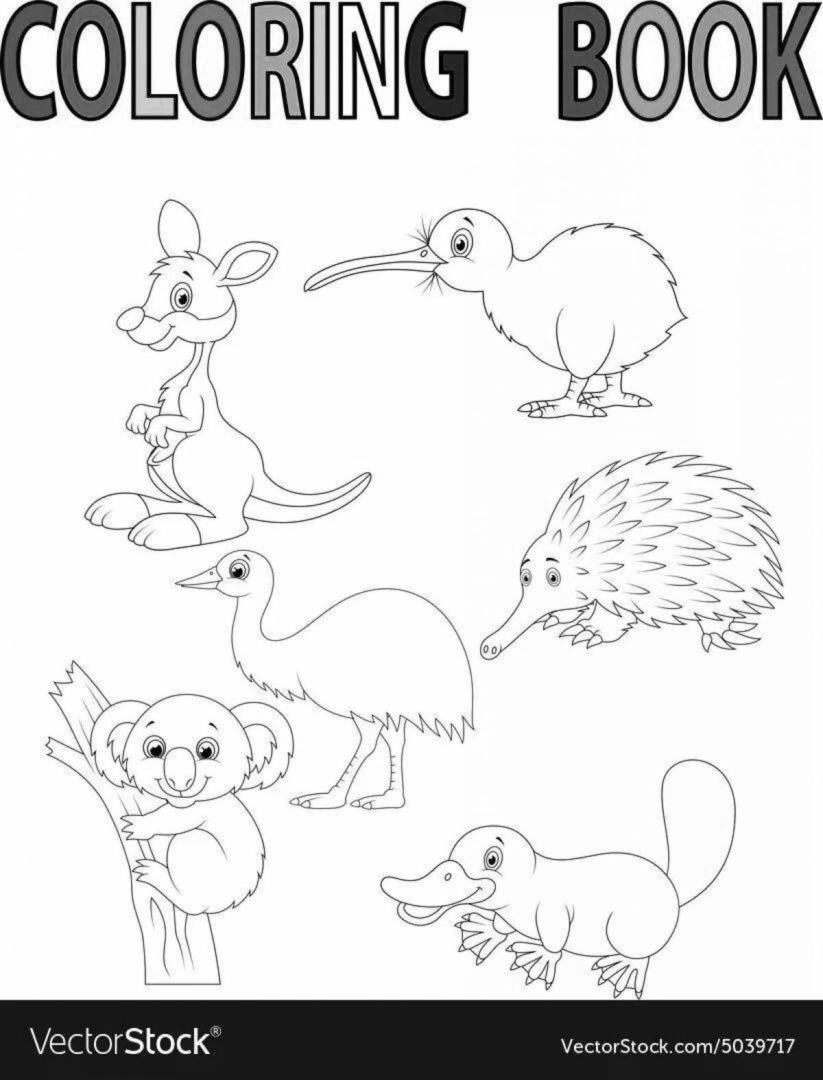 Интересная австралийская раскраска животных для дошкольников