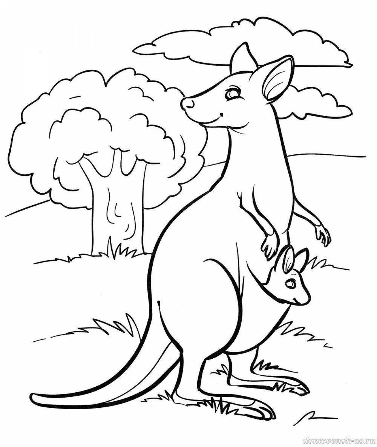 Яркие австралийские раскраски с животными для дошкольников
