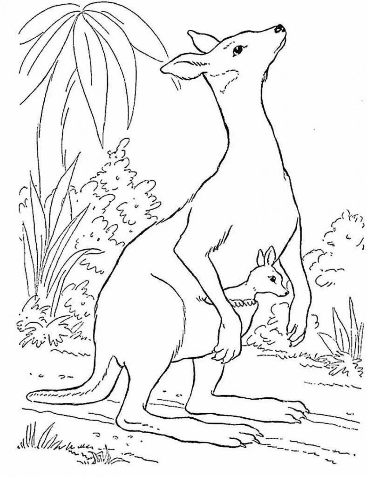 Distinctive Australian animal coloring page for preschoolers