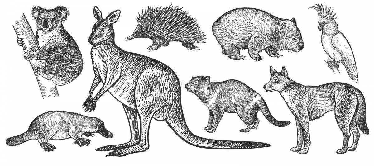Креативная австралийская раскраска животных для дошкольников