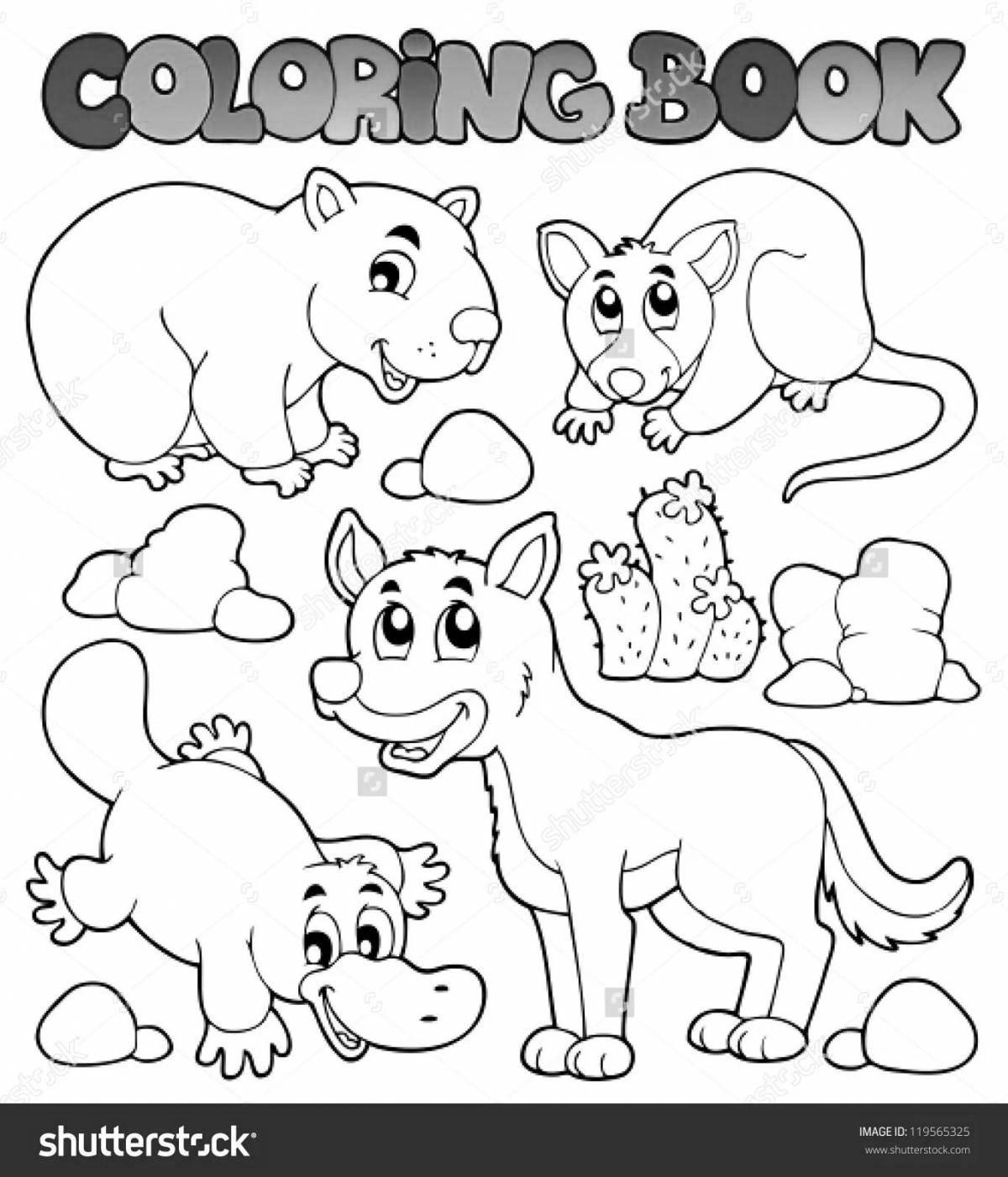 Crazy Australian Animals Coloring Pages for Preschoolers