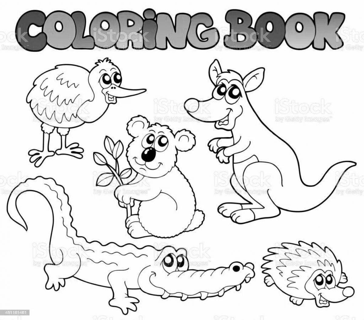 Животные австралии для дошкольников #4