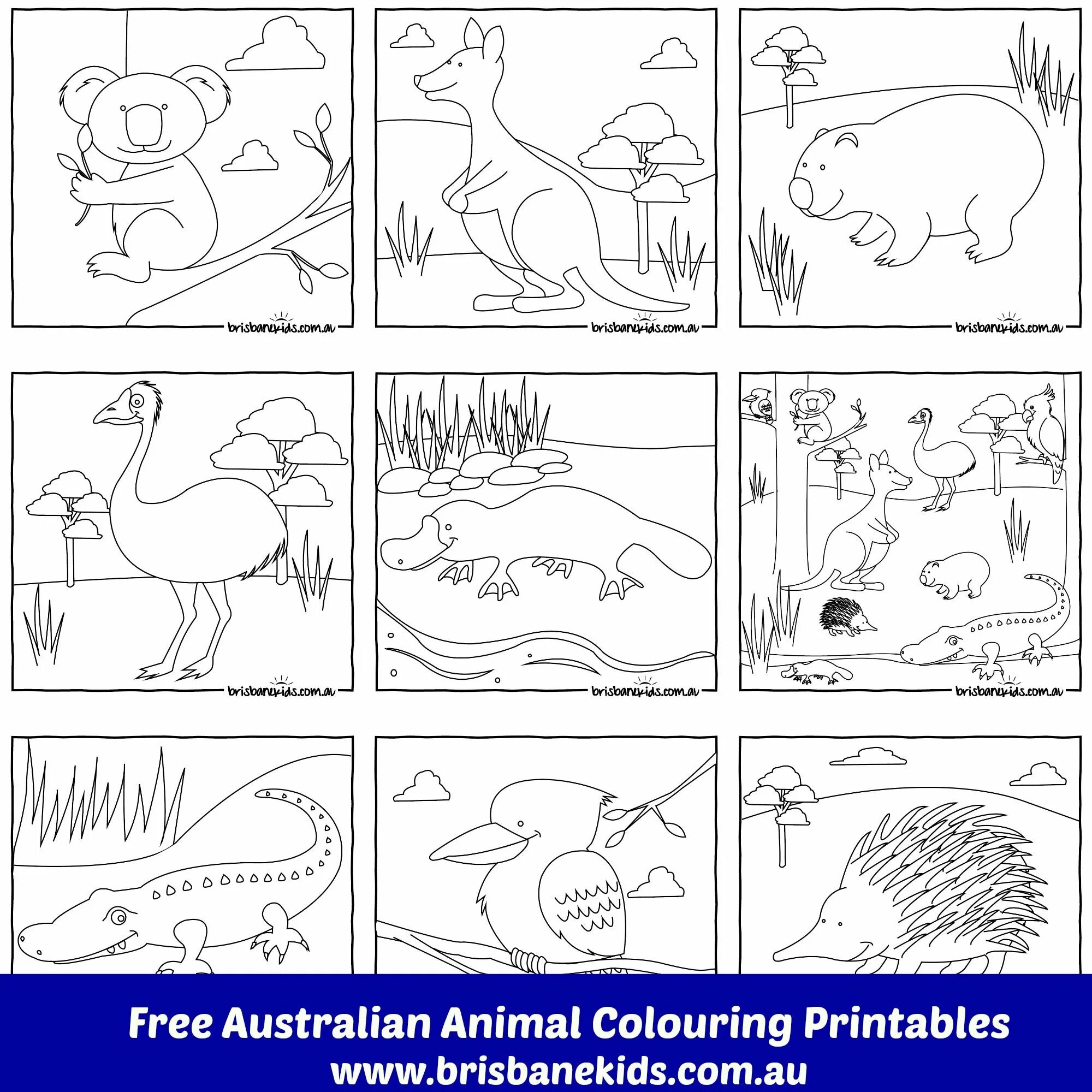 Животные Австралии задания для детей