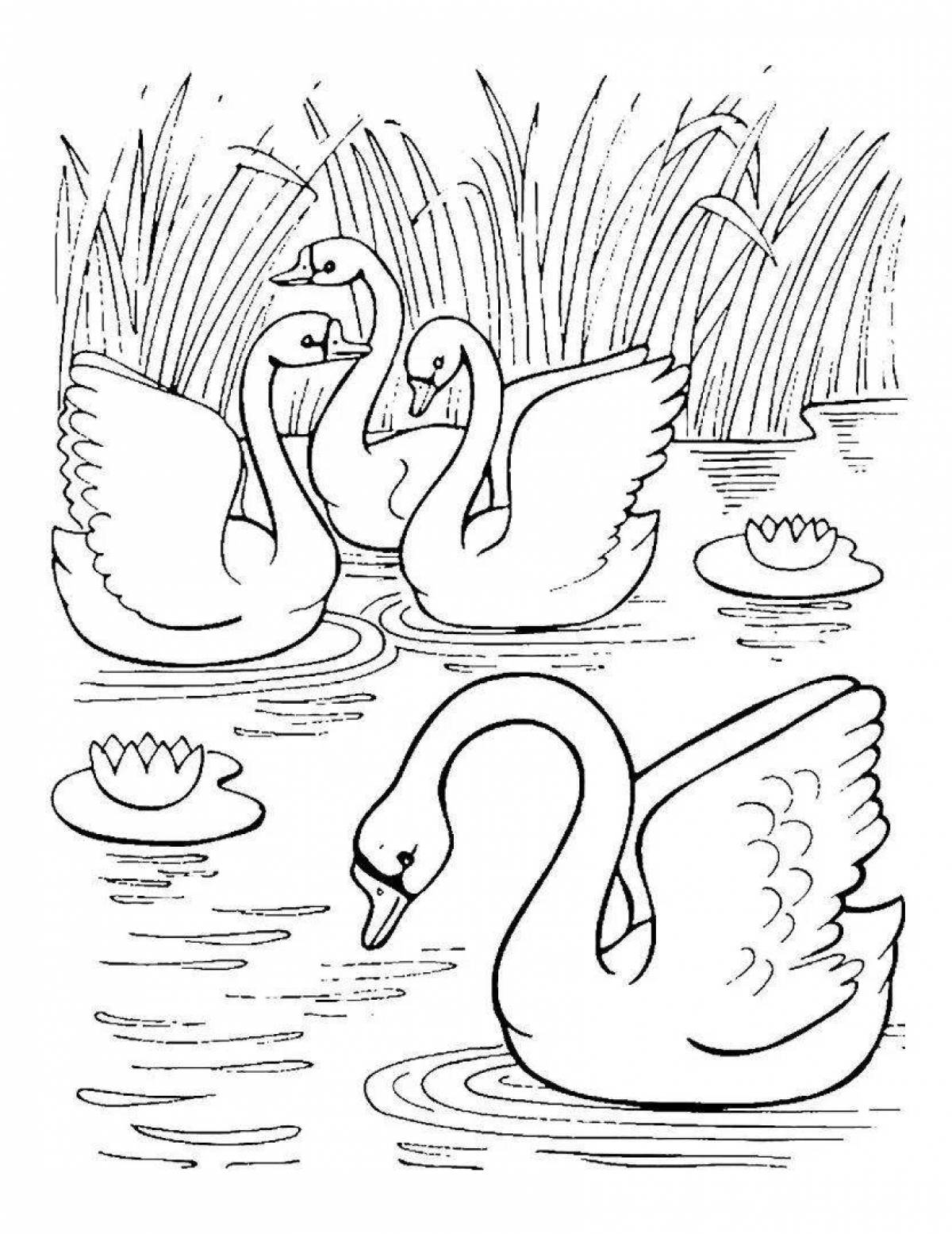Majestic swan lake coloring pages for kids