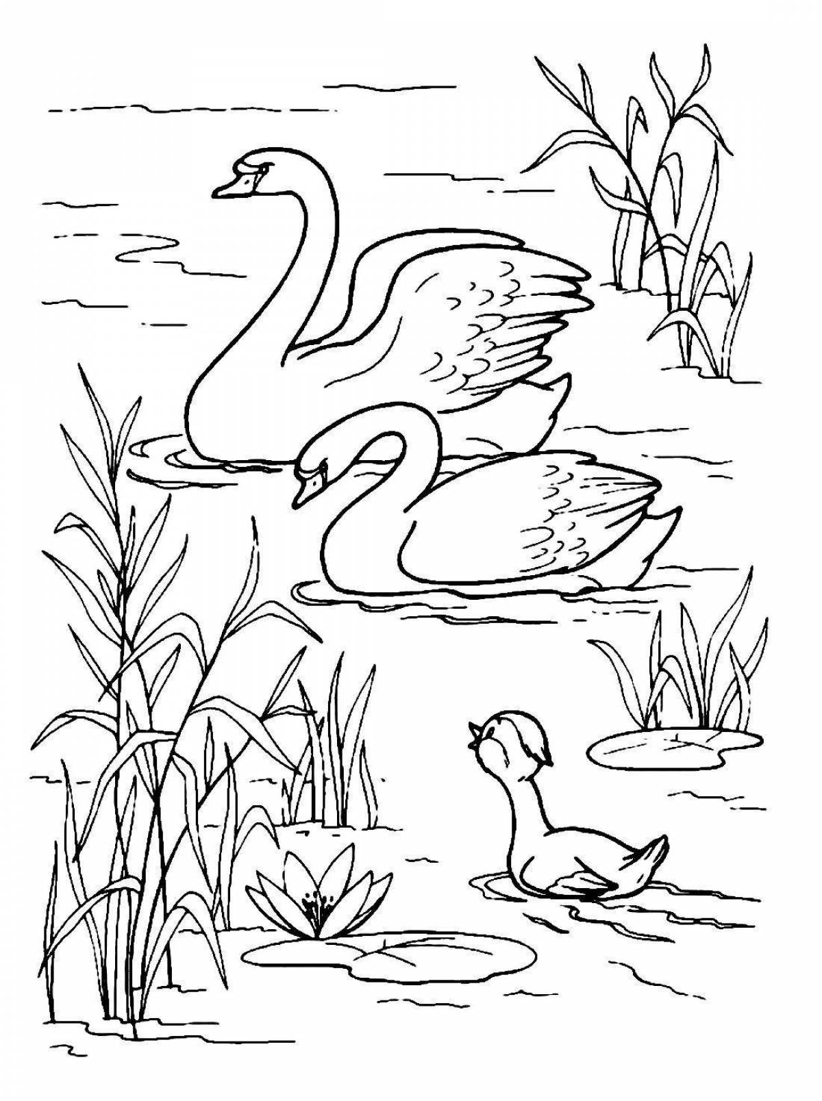 Great swan lake coloring book for little ones