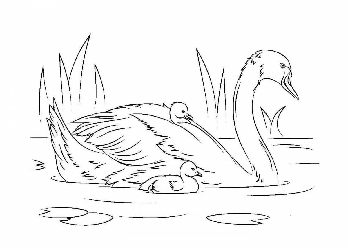 Great swan lake coloring page for juniors