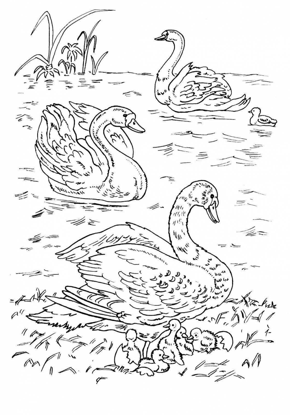 Adorable Swan Lake Coloring Page for Toddlers
