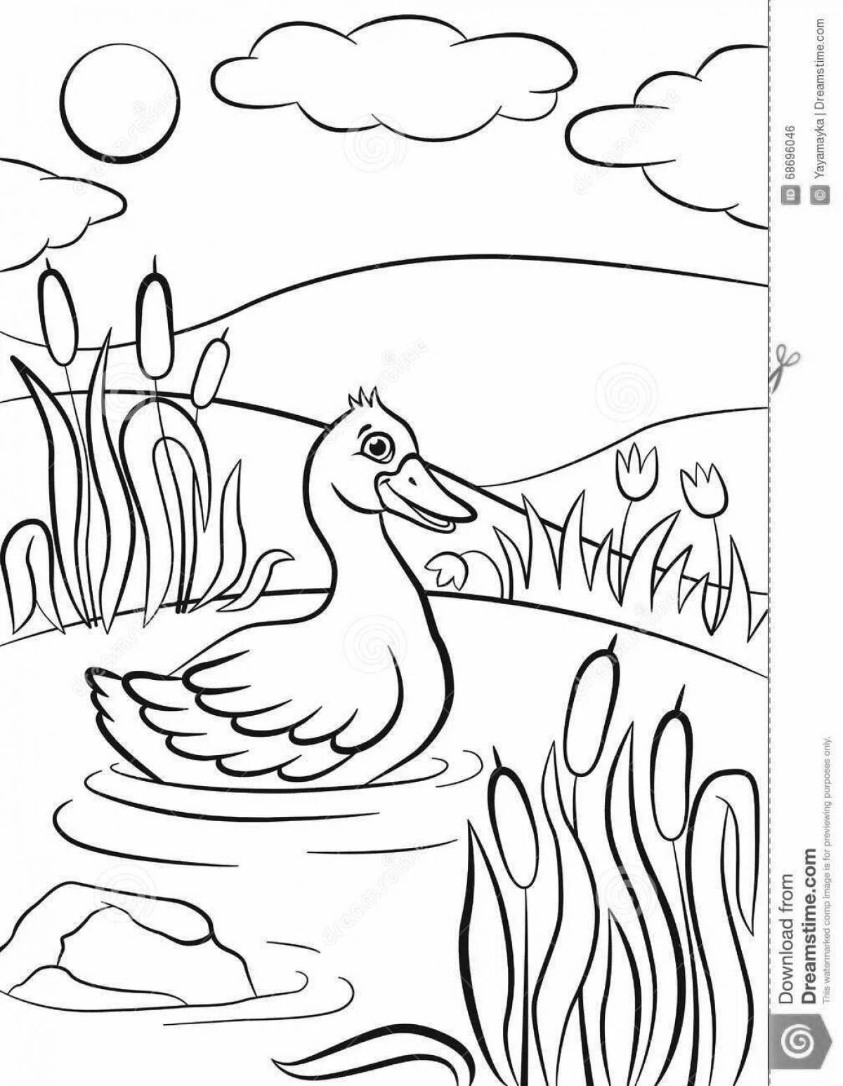 Colorful swan lake coloring pages for kids