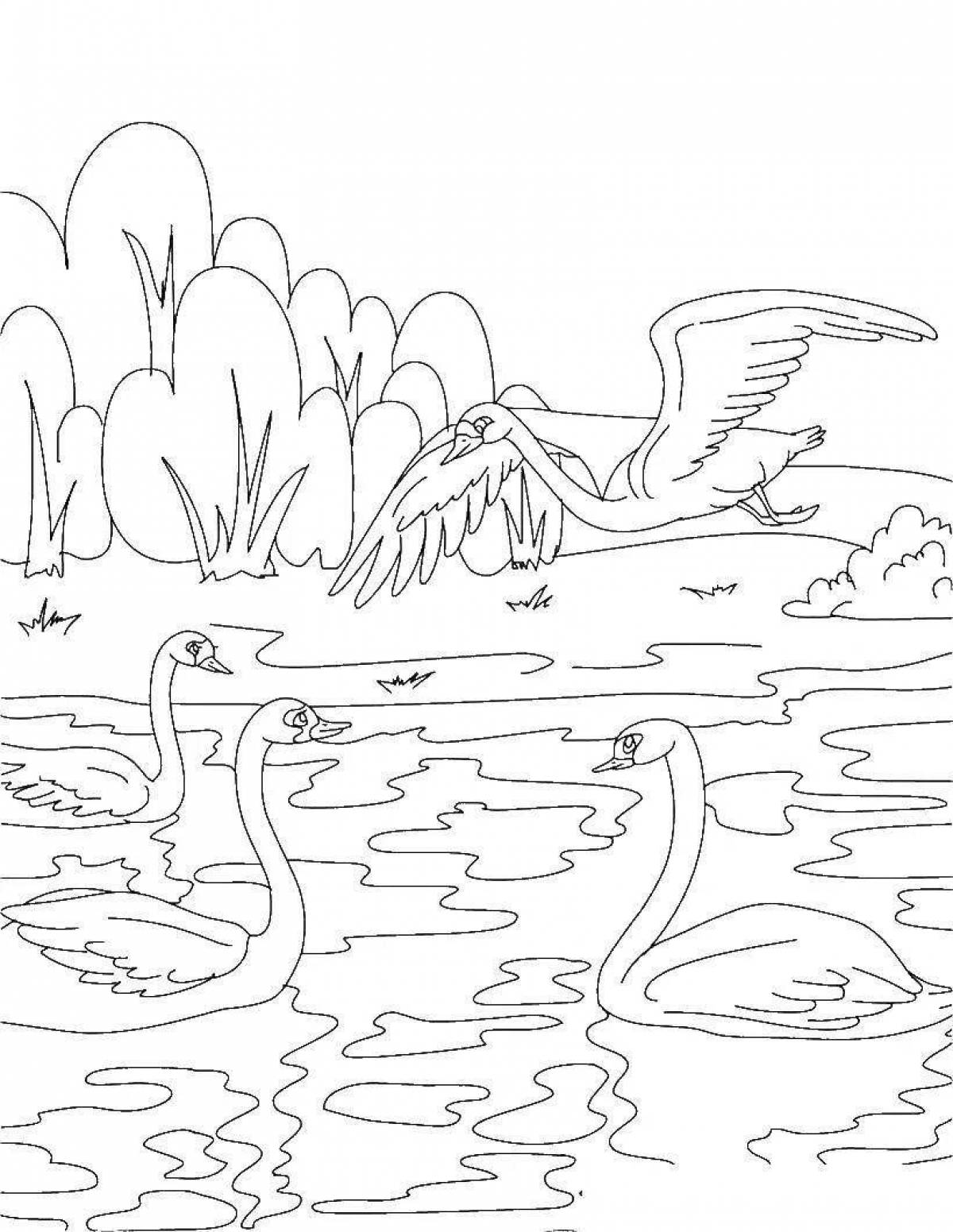 Swan lake bright coloring for juniors