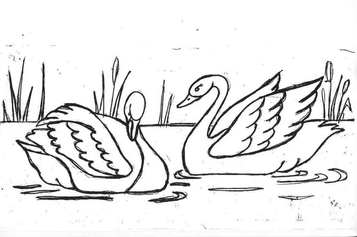 Colouring serene swan lake for students