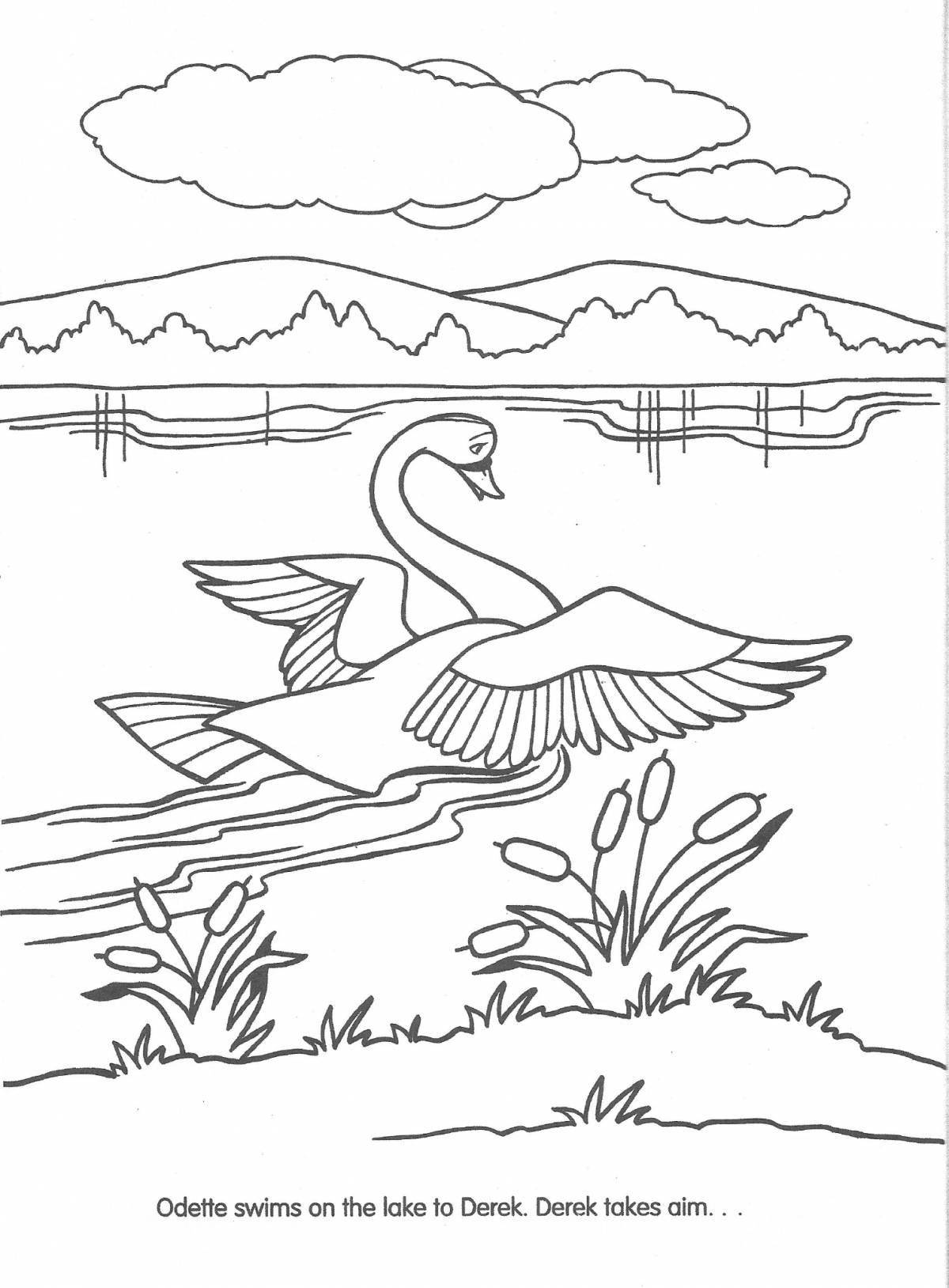 Swan lake live coloring book for beginners