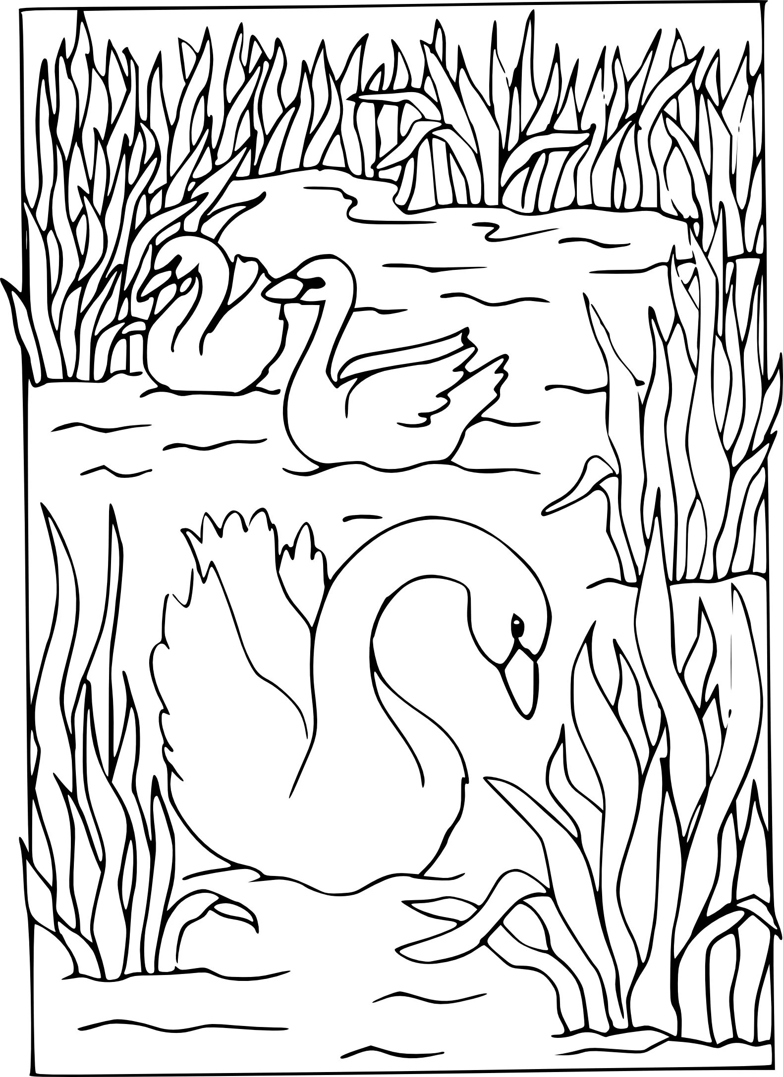 Holiday swan lake coloring book for kids