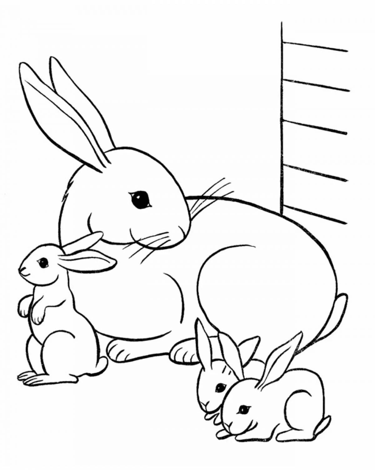 Яркий год кролика раскраски для детей