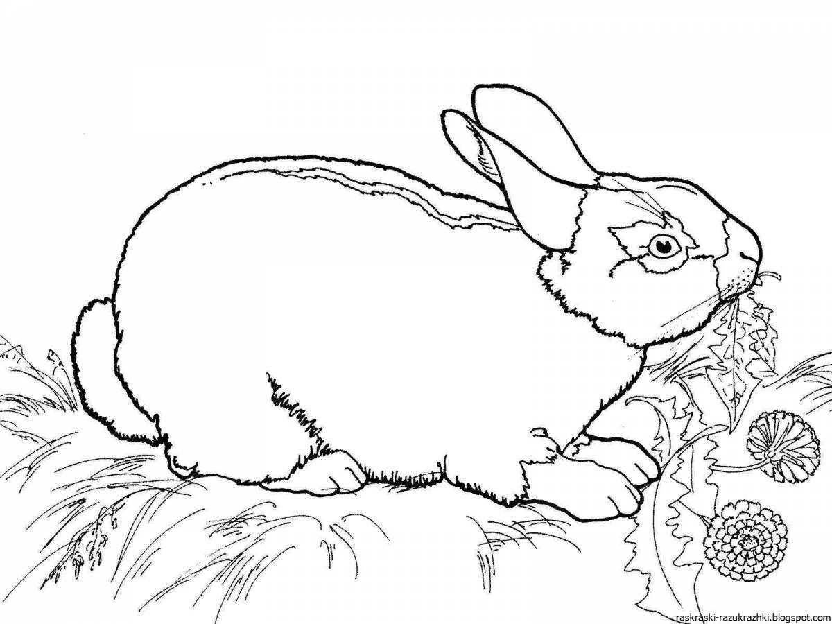 Изысканный год кролика раскраски для детей