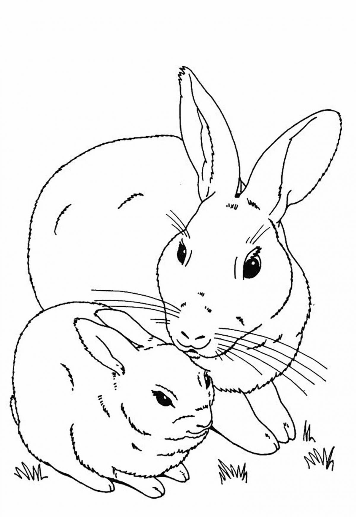Очаровательная раскраска год кролика для детей
