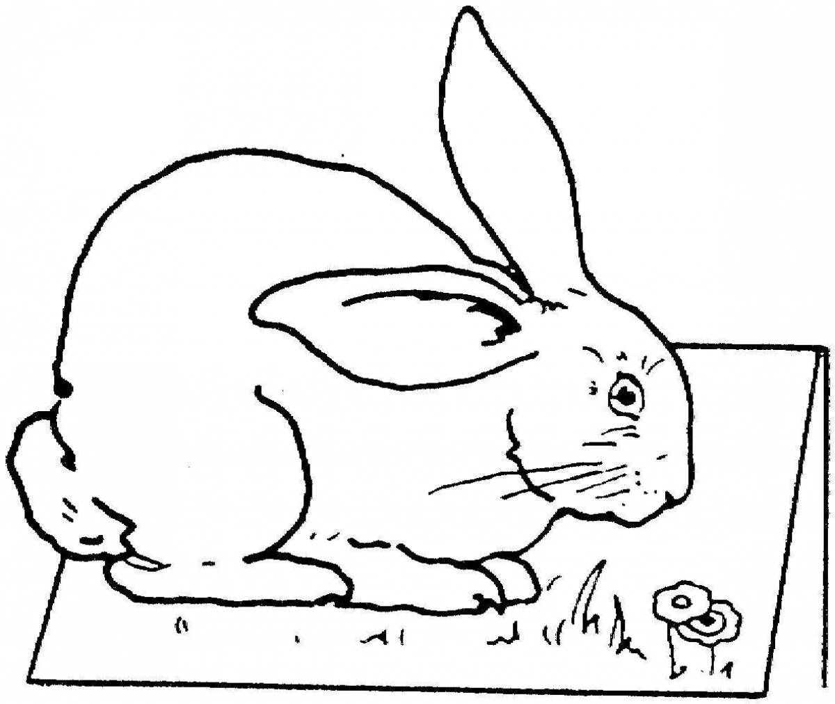 Забавная раскраска год кролика для детей
