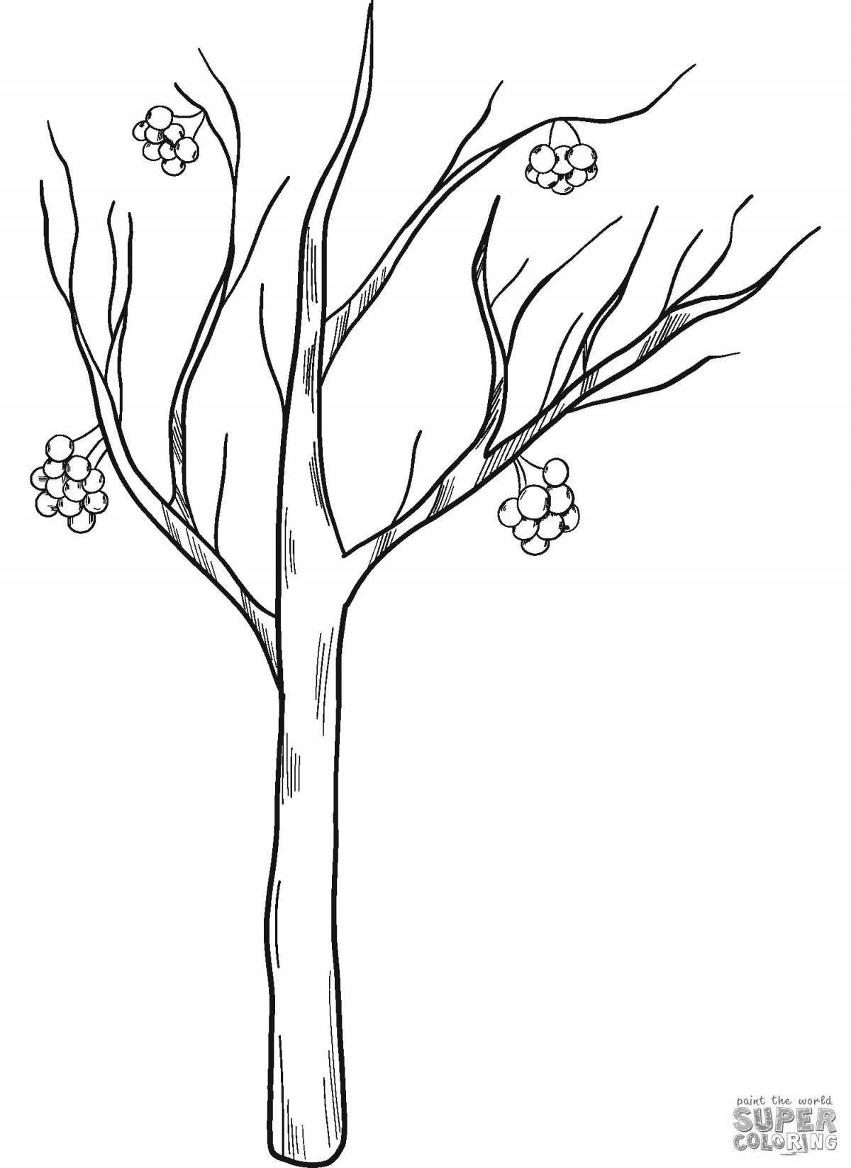 Grand coloring page mountain ash in winter