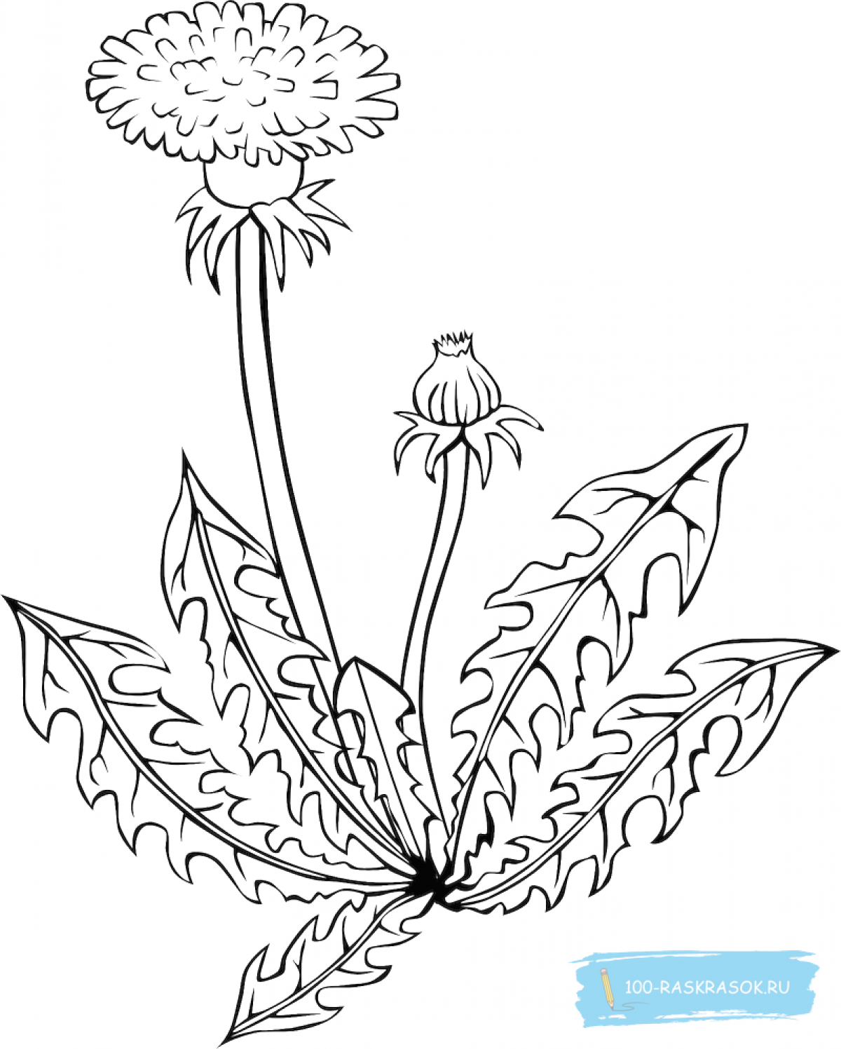 Creative herbs coloring book for preschoolers