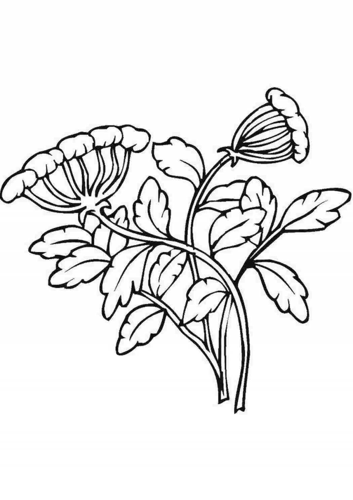 Innovative medicinal plants coloring book for preschoolers