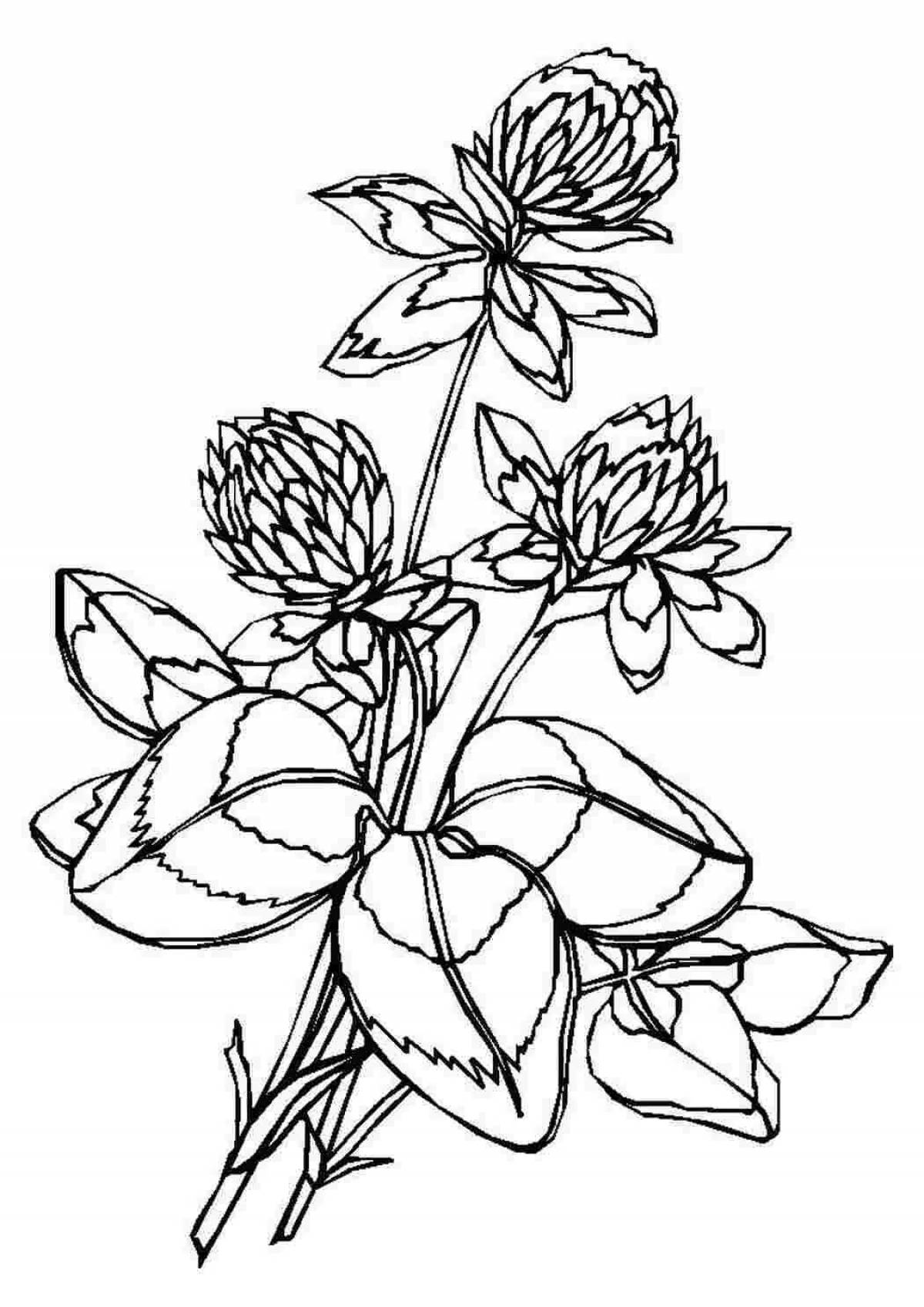 Creative coloring pages of medicinal plants for preschoolers