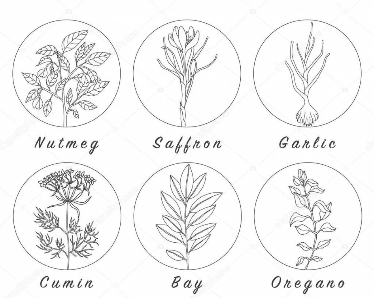 Detailed coloring of medicinal plants for preschoolers