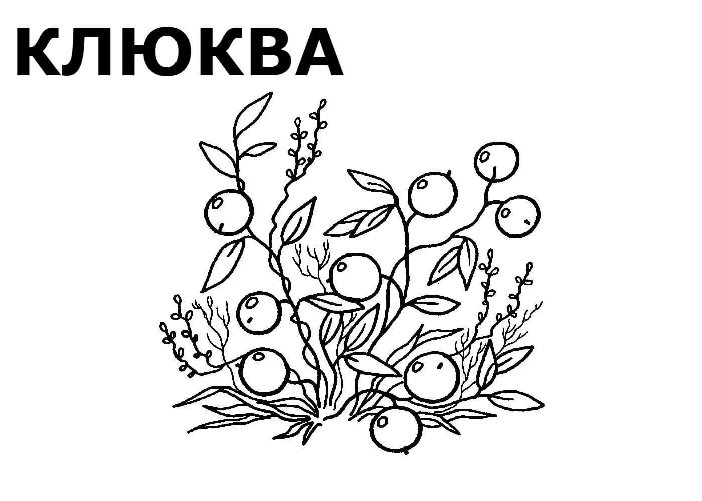 Unique medicinal plants coloring pages for preschoolers