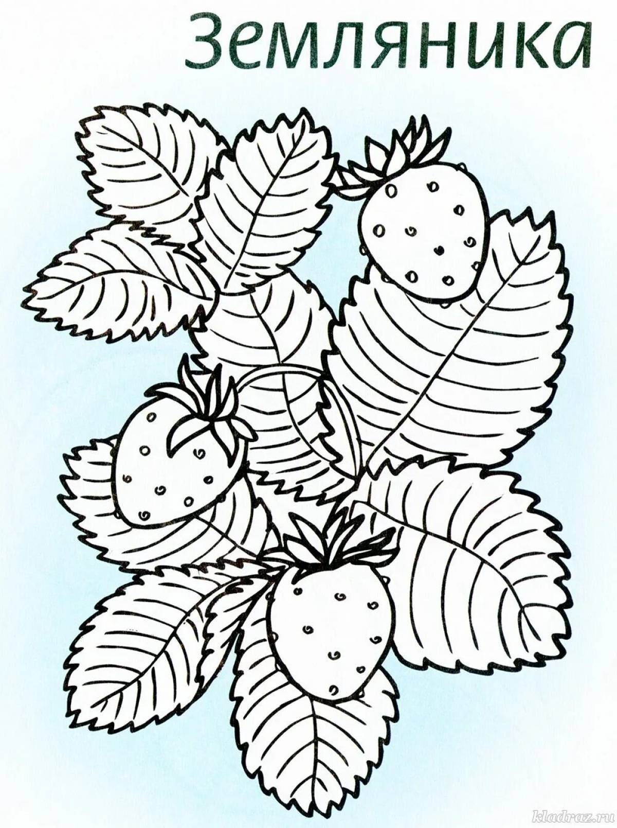 Original coloring pages with medicinal plants for preschoolers