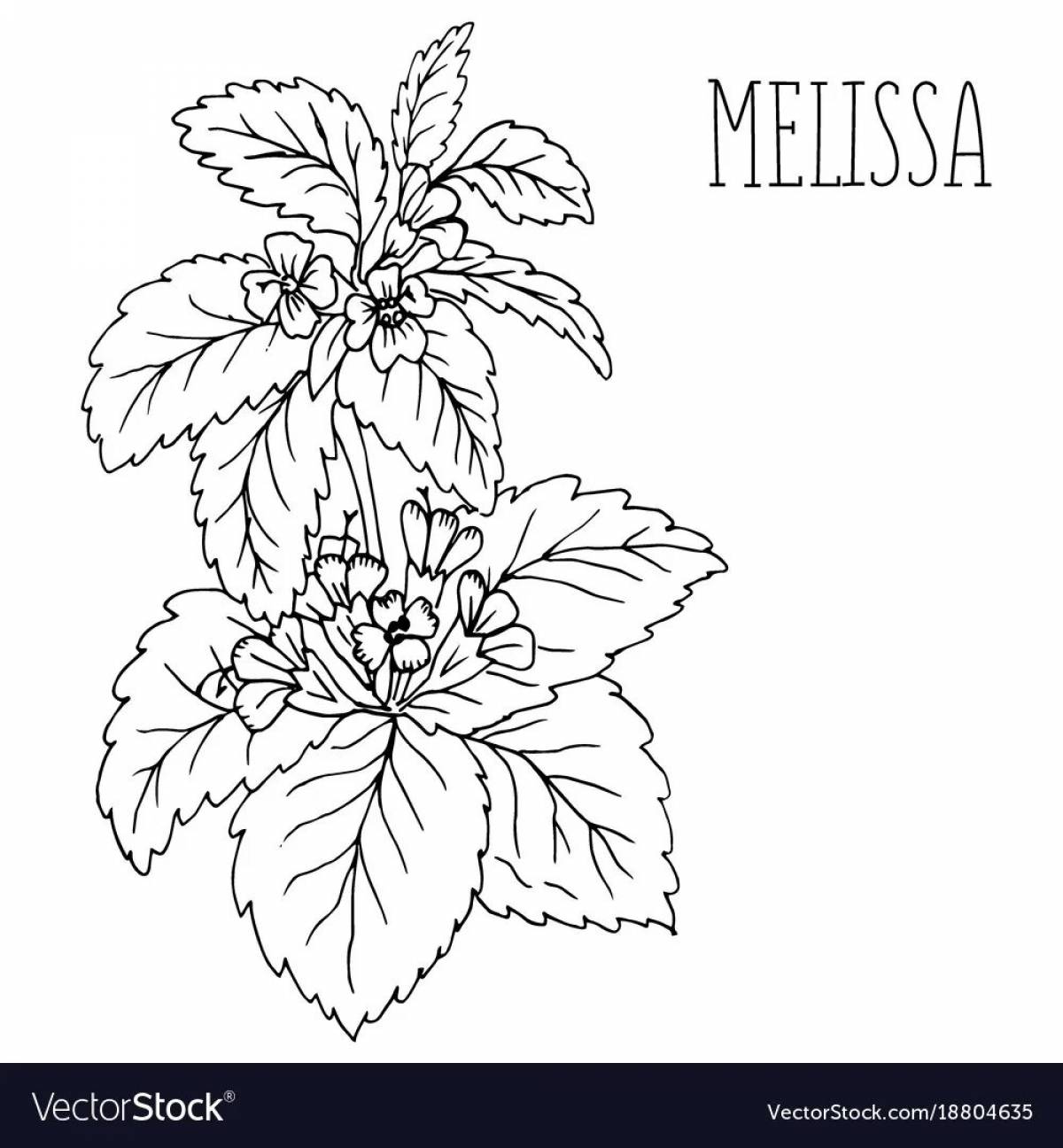 Coloring book funny medicinal plants for preschoolers
