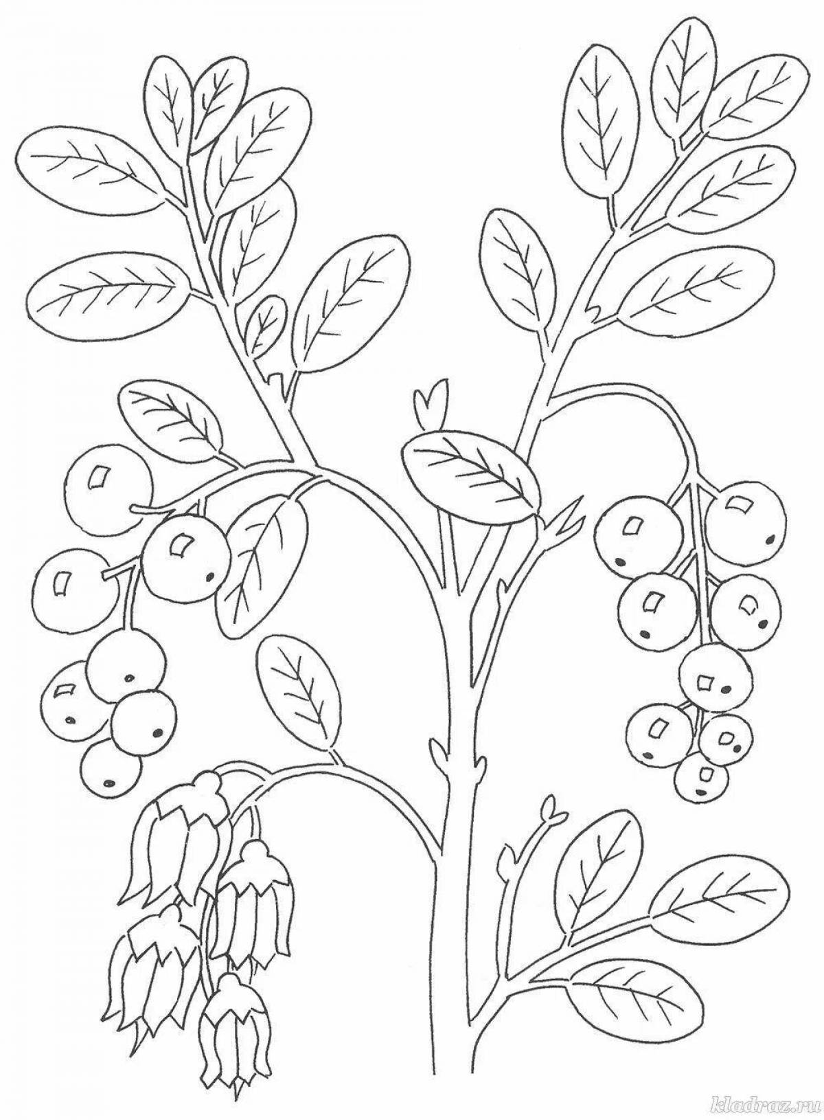 Playful rowan coloring page for kids
