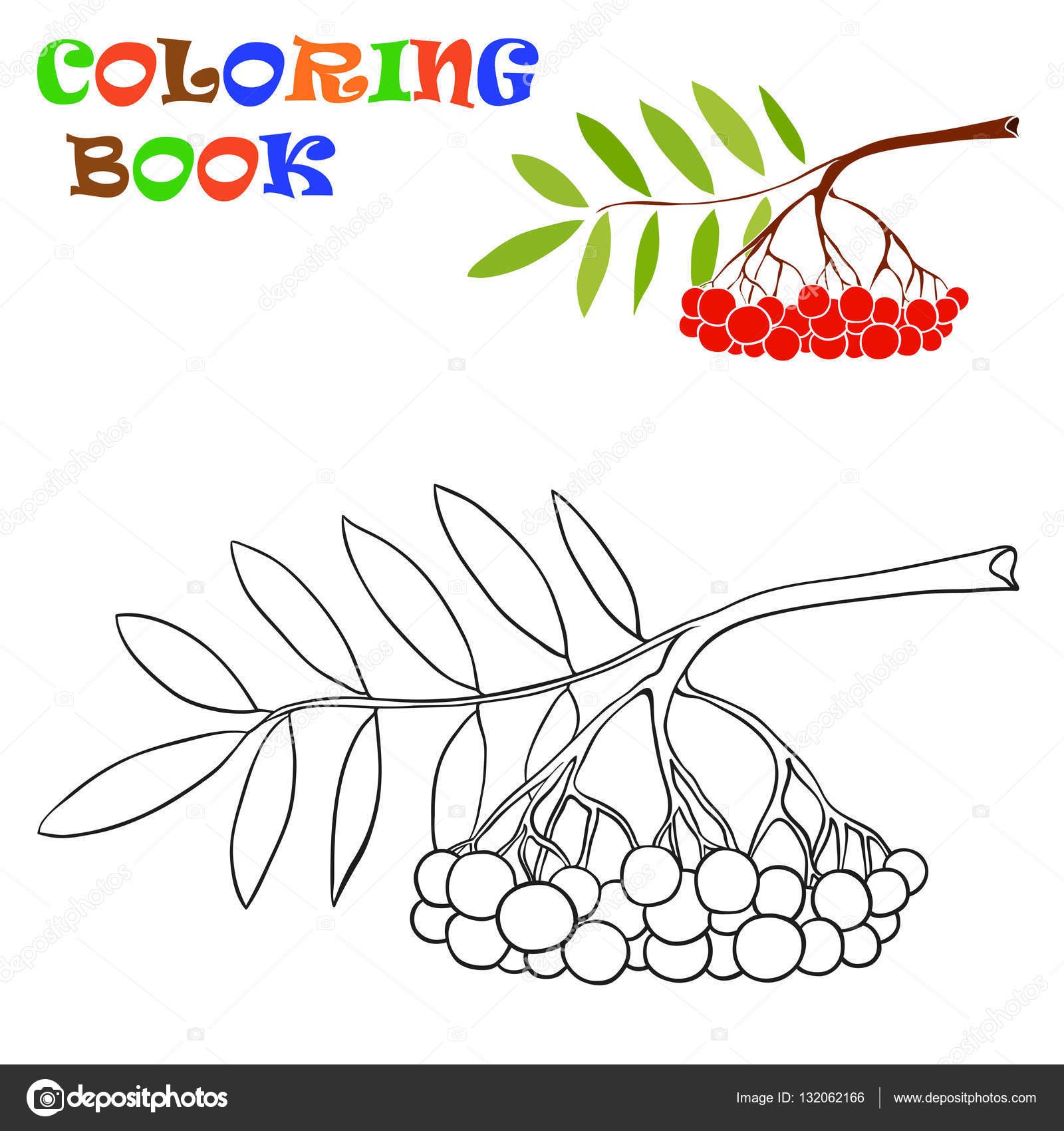 Colorful rowan coloring book for kids
