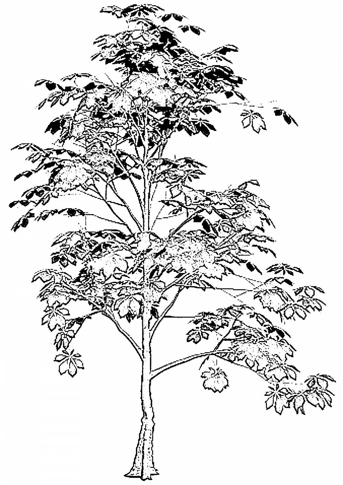 Rowan tree for kids #4