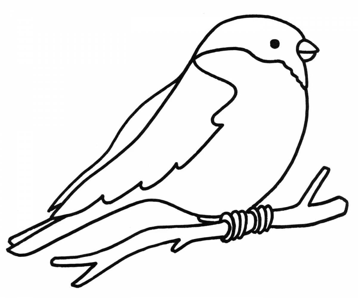Colourful bullfinch coloring book for kids