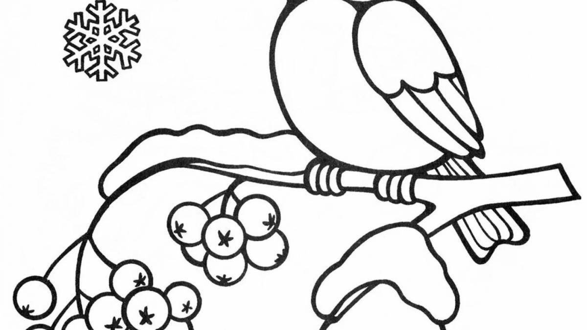 Playful bullfinch coloring book for kids