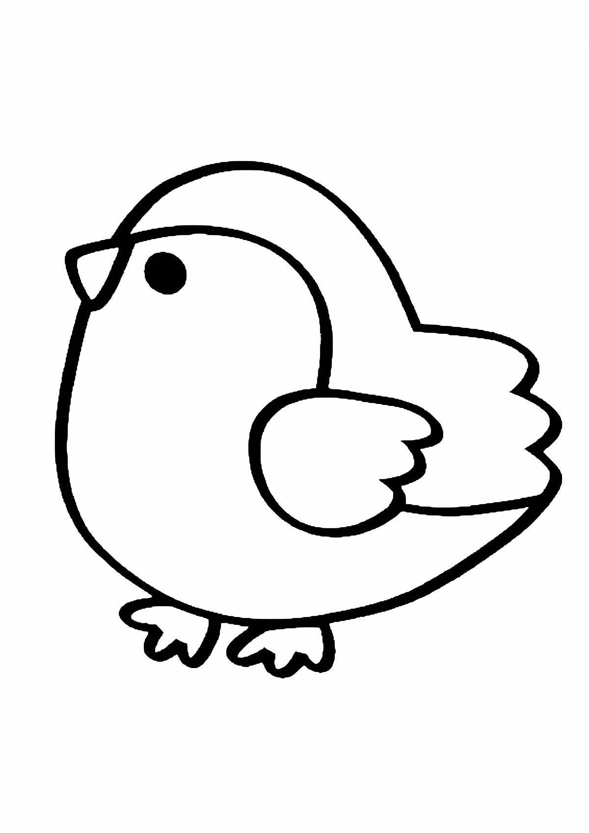 Coloring book bullfinch for kids